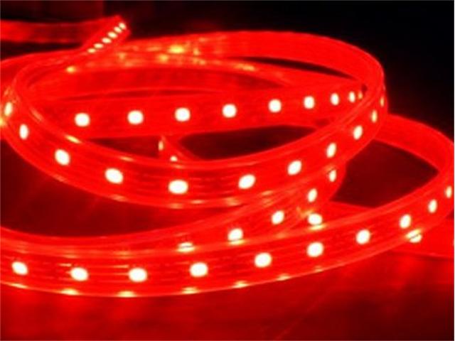 LED 60R 12V IP54 PURE SIL 5MT