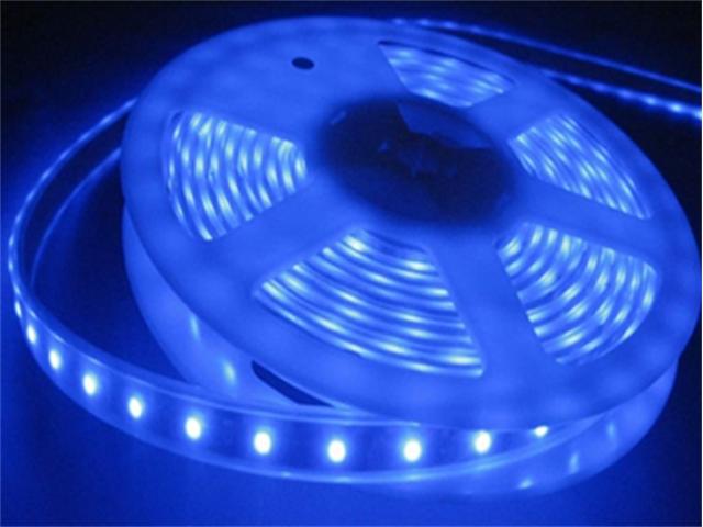 LED 60B 12V IP54 PURE SIL 5MT