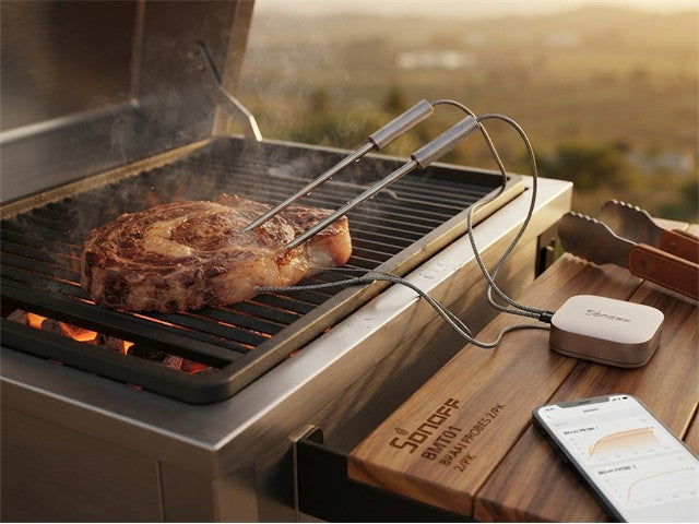 SONOFF BMT01 BRAAI PROBES 2/PK