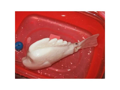 DGU POLYMORPH PLASTIC 1KG - Prototyping Accessories -