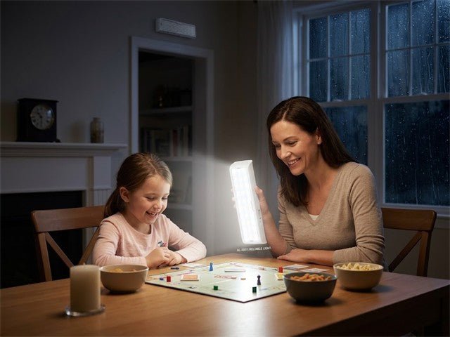 EMERGENCY LIGHT AL-3001 - Torches & Lights -