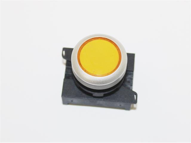P301LYS - Switches - 67588527161644