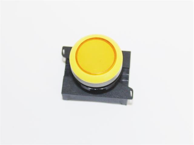 P301MYY - Switches - 67588526702892