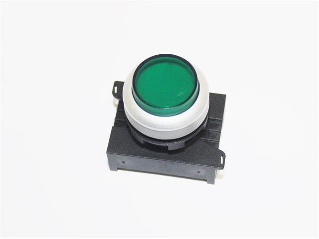 P302LGS - Switches - 67588526014764