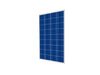 SOLAR PANEL CINCO 100W - Solar -