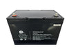 BATT 12,8V100 NVS - Batteries -