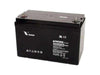 BATT 12V100 VISION - Batteries -