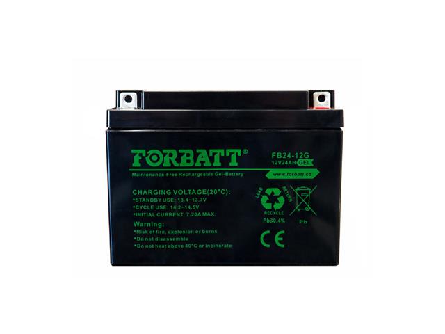 BATT 12V24G FBT - Batteries -