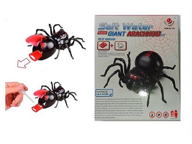 EDU-TOY BMT SALT WATER SPIDER - Educational Kits -