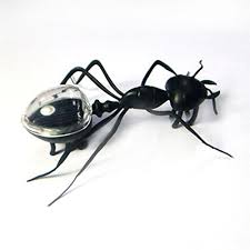EDU-TOY BMT SOLAR POWERED ANT - Communica [Part No: EDU-TOY BMT