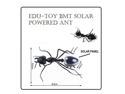 EDU-TOY BMT SOLAR POWERED ANT - Educational Kits -