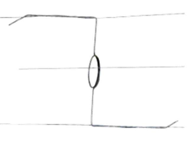 EF EY-1LOOP - Electric Fencing -