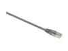 EXN IT-100-310 - Computer Network Leads -