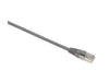 EXN IT-100-312 - Computer Network Leads -