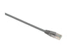 EXN IT-100-314 - Computer Network Leads -