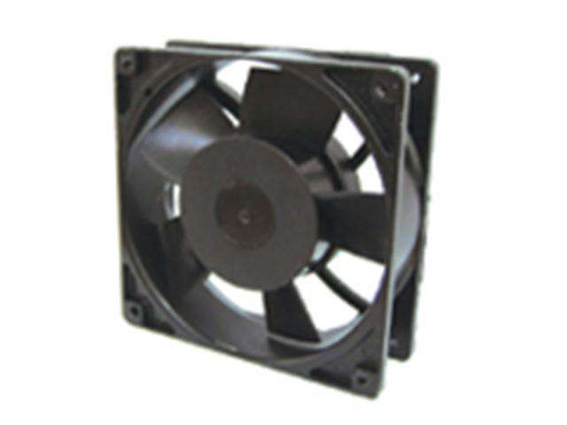 FANAC240120-38 - Fans -