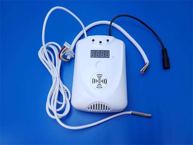 INT- TEMPERATURE SENSOR - Alarms & Accessories -