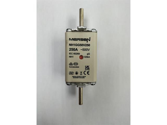 NH1GG50V250 - Fuses -