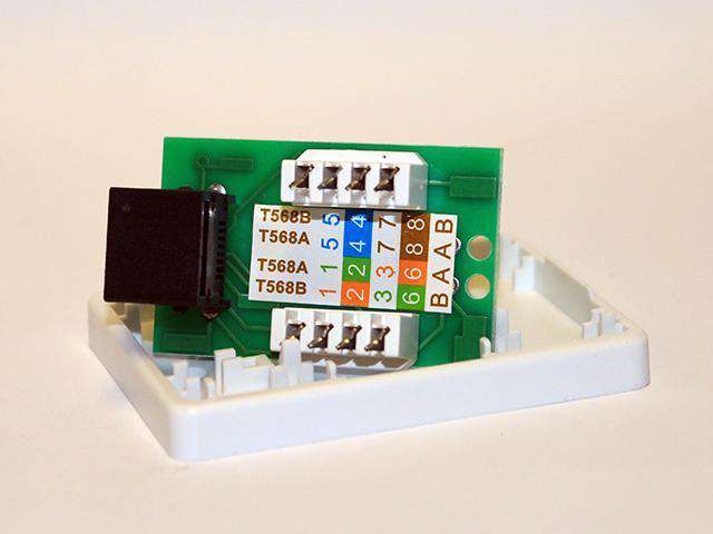 NY-CAT5 TAC BOX - Computer Connectors -