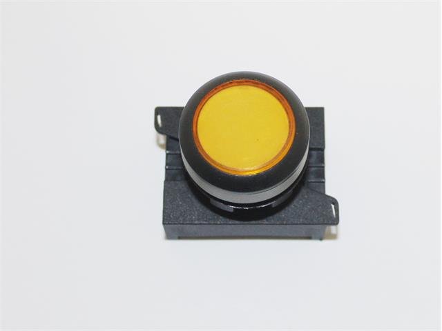 P301MY - Switches -