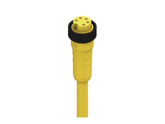 RK 50-877/5M - Circular Connectors -