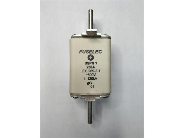 SSPN1-250A - Fuses -